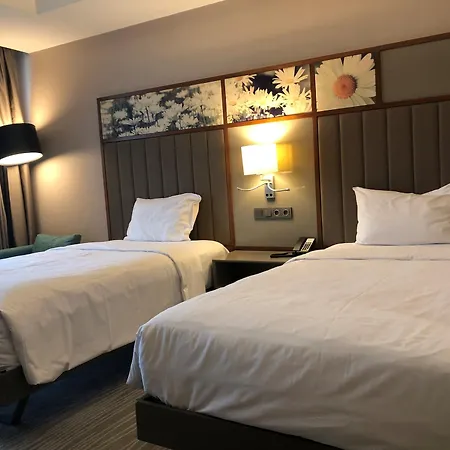 伊斯坦布尔阿塔图尔克机场希尔顿花园酒店 酒店