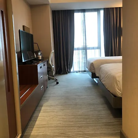 伊斯坦布尔阿塔图尔克机场希尔顿花园酒店 酒店 4*