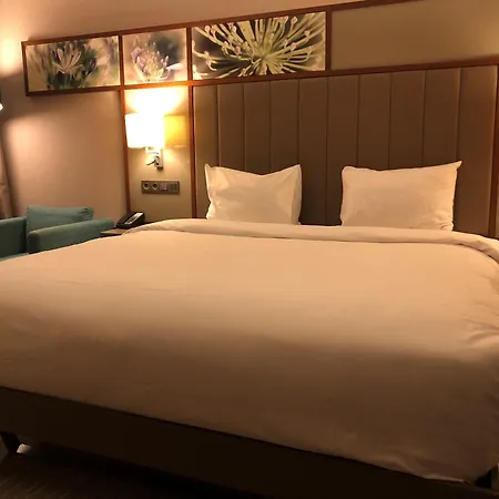 Hotel Hilton Garden Atatürk Airport 4*