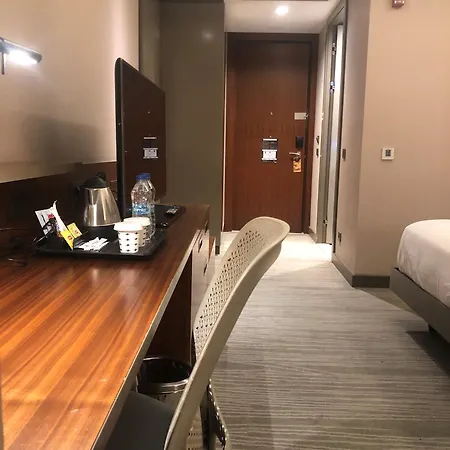 酒店 伊斯坦布尔阿塔图尔克机场希尔顿花园酒店 4*