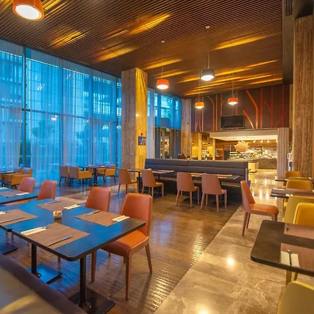酒店 伊斯坦布尔阿塔图尔克机场希尔顿花园酒店 4*