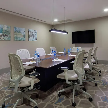 伊斯坦布尔阿塔图尔克机场希尔顿花园酒店 4* 伊斯坦布尔