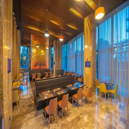 酒店 伊斯坦布尔阿塔图尔克机场希尔顿花园酒店 4*