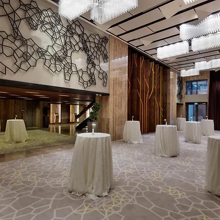 伊斯坦布尔阿塔图尔克机场希尔顿花园酒店 酒店 4*