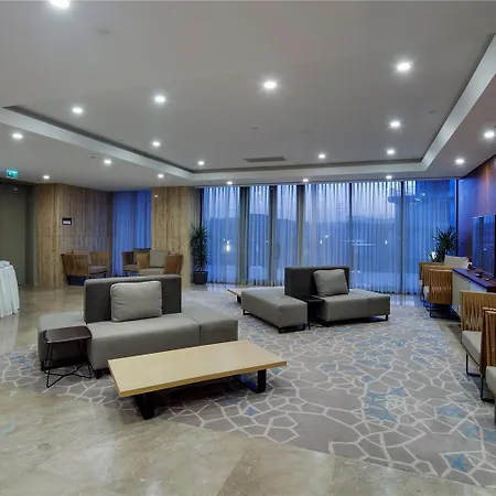伊斯坦布尔阿塔图尔克机场希尔顿花园酒店 4* 伊斯坦布尔