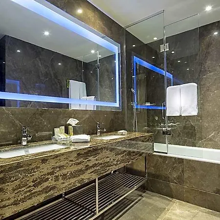Hotell Hilton Garden Atatuerk Airport
