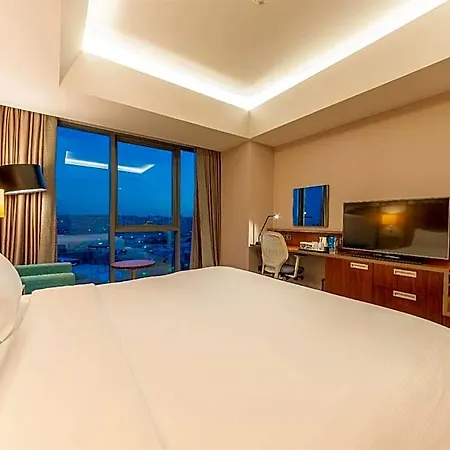 Hilton Garden Atatuerk Airport Hotell