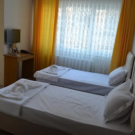Hotell Hilton Garden Atatuerk Airport