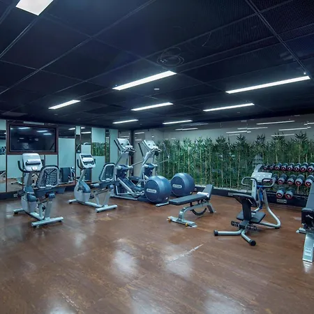 Hotel Hilton Garden Atatürk Airport 4*